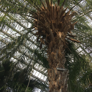 Improbable Lessons in Chicago